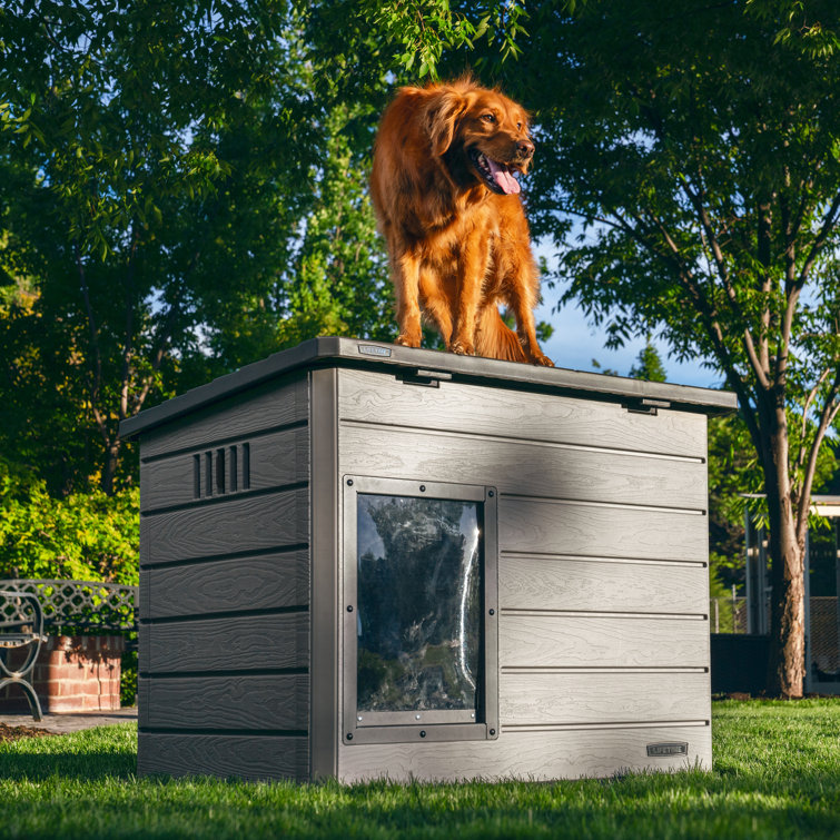 Wayfair insulated dog sales house